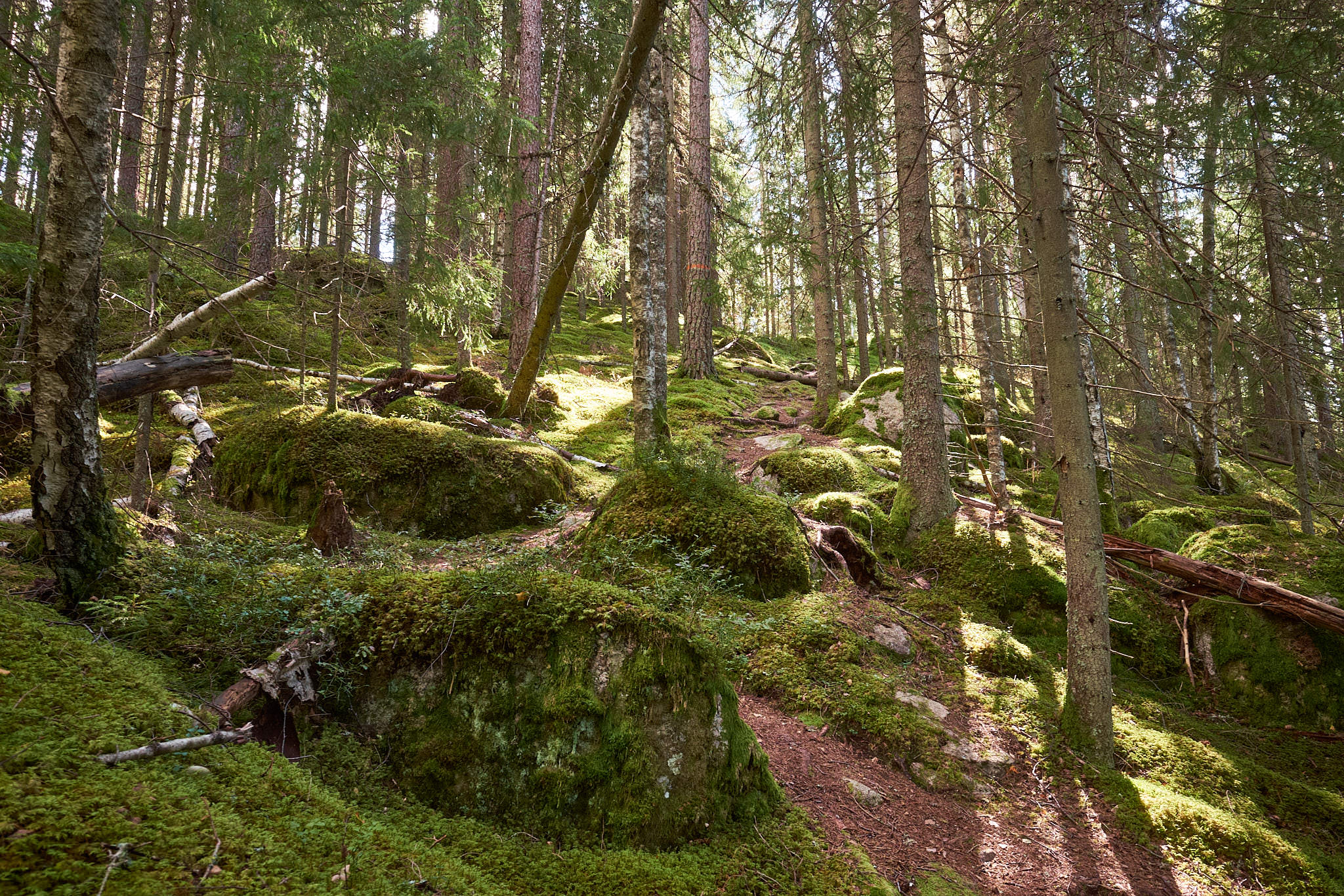 Schweden / Sweden